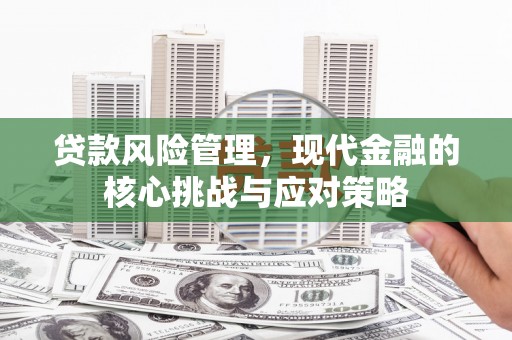 汶川贷款风险管理，现代金融的核心挑战与应对策略