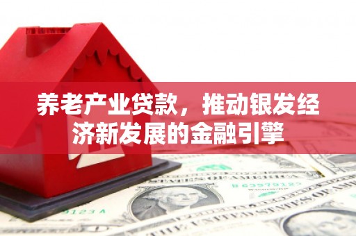 汶川养老产业贷款，推动银发经济新发展的金融引擎