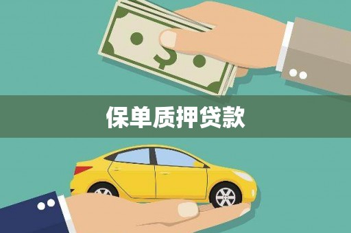 汶川保单质押贷款