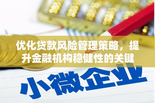 汶川优化贷款风险管理策略，提升金融机构稳健性的关键