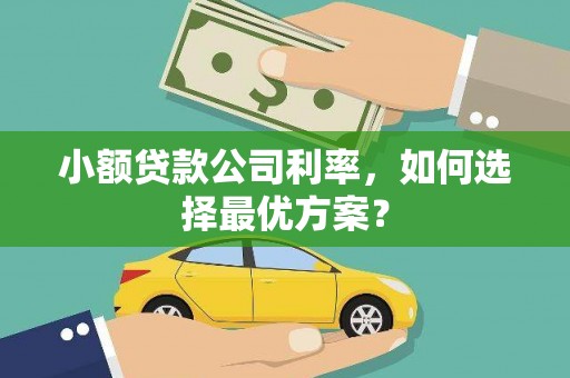 汶川小额贷款公司利率，如何选择最优方案？
