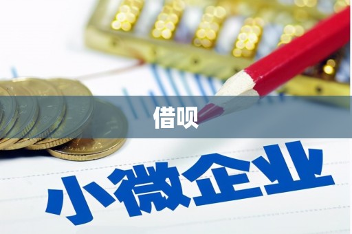 汶川借呗