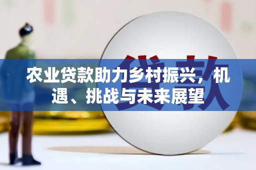 汶川农业贷款助力乡村振兴，机遇、挑战与未来展望