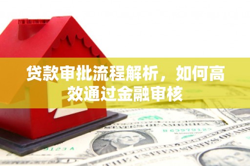 汶川贷款审批流程解析，如何高效通过金融审核