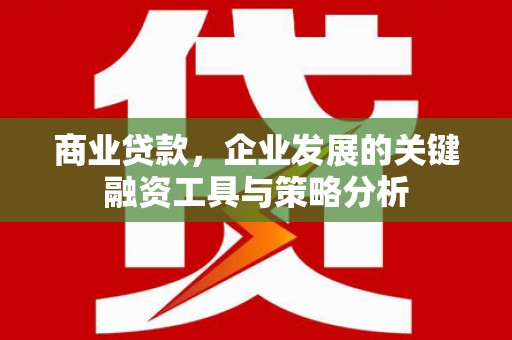 汶川商业贷款，企业发展的关键融资工具与策略分析