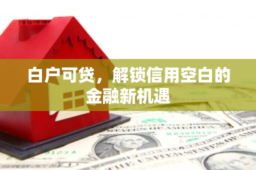汶川白户可贷，解锁信用空白的金融新机遇