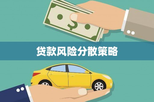 汶川贷款风险分散策略