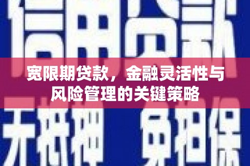 汶川宽限期贷款，金融灵活性与风险管理的关键策略
