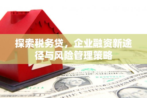 汶川探索税务贷，企业融资新途径与风险管理策略