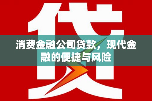 汶川消费金融公司贷款，现代金融的便捷与风险