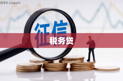 汶川税务贷
