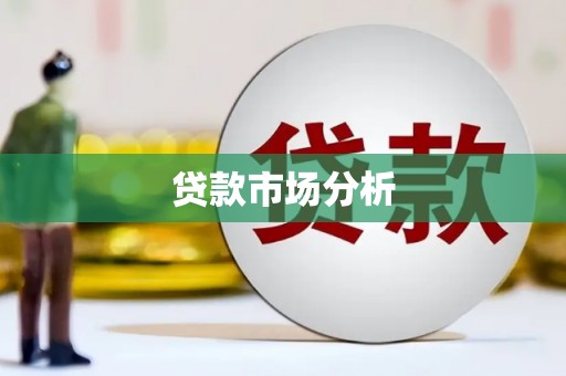 汶川贷款市场分析