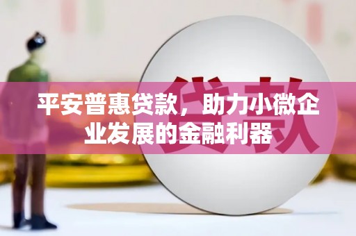 汶川平安普惠贷款，助力小微企业发展的金融利器