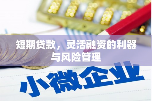 汶川短期贷款，灵活融资的利器与风险管理
