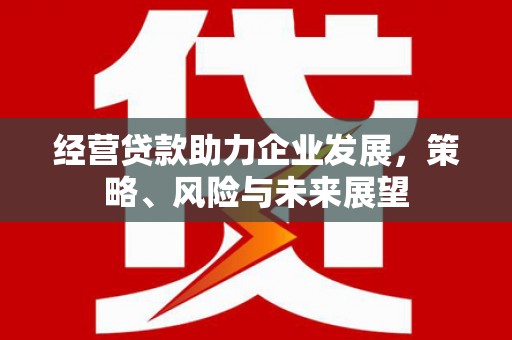 汶川经营贷款助力企业发展，策略、风险与未来展望