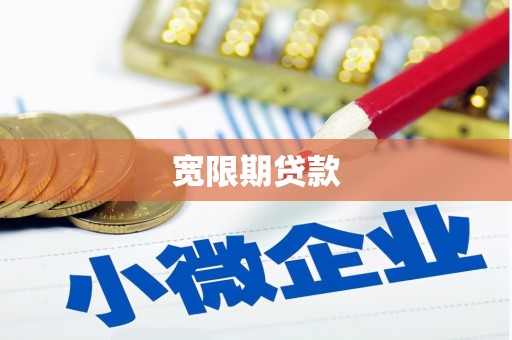 汶川宽限期贷款