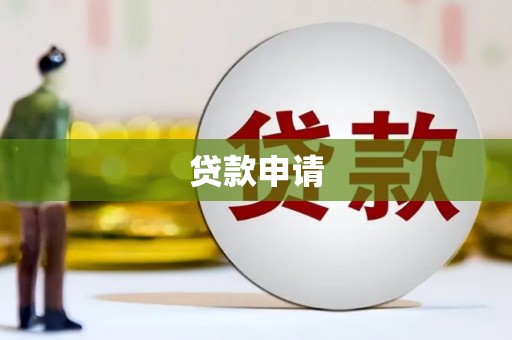 汶川贷款申请