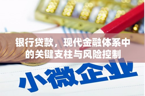 汶川银行贷款，现代金融体系中的关键支柱与风险控制