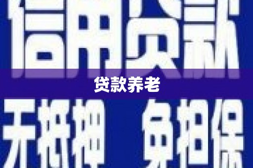 汶川贷款养老