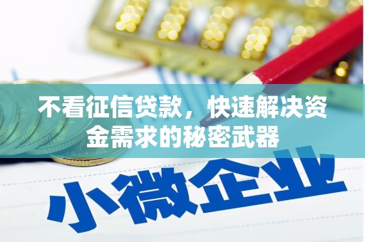 汶川不看征信贷款，快速解决资金需求的秘密武器
