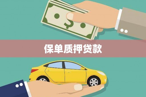汶川保单质押贷款