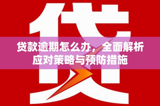 汶川贷款逾期怎么办，全面解析应对策略与预防措施