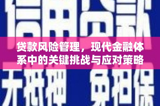 汶川贷款风险管理，现代金融体系中的关键挑战与应对策略
