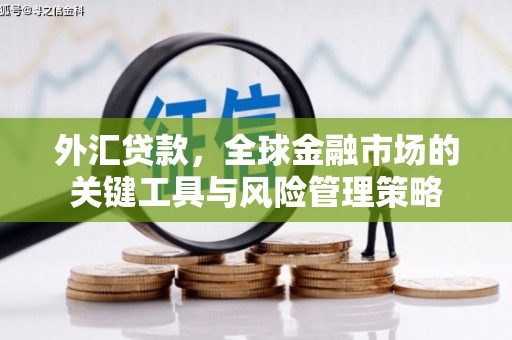 汶川外汇贷款，全球金融市场的关键工具与风险管理策略