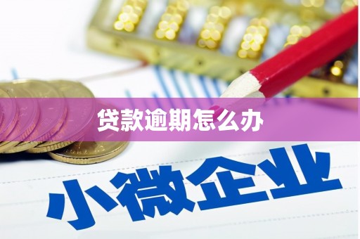 汶川贷款逾期怎么办