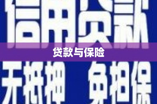 汶川贷款与保险