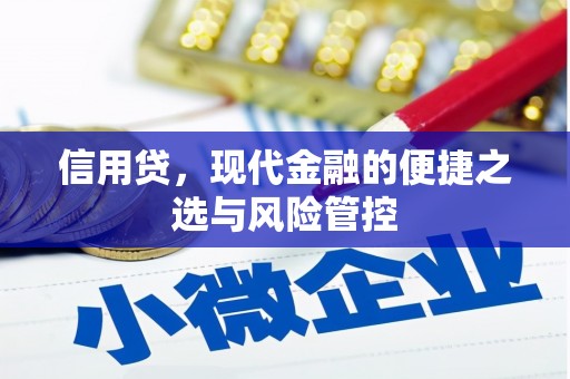汶川信用贷，现代金融的便捷之选与风险管控