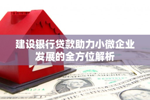 汶川建设银行贷款助力小微企业发展的全方位解析
