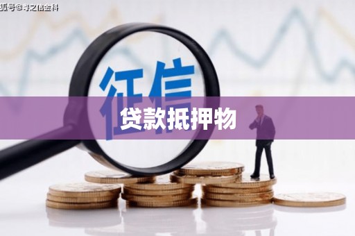 汶川贷款抵押物