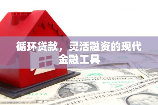 汶川循环贷款，灵活融资的现代金融工具