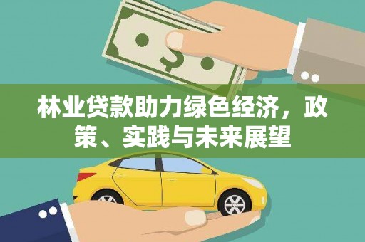 汶川林业贷款助力绿色经济，政策、实践与未来展望