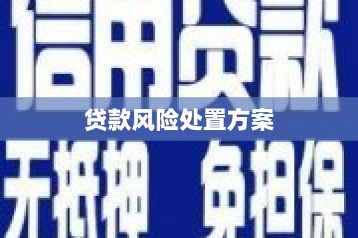 汶川贷款风险处置方案