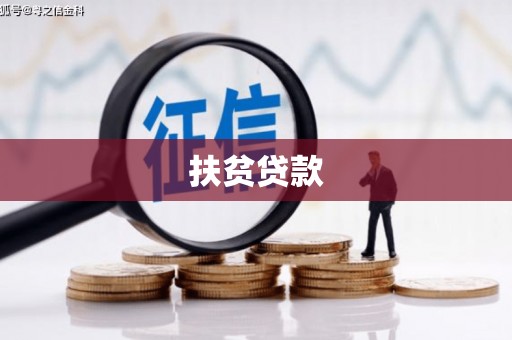 汶川扶贫贷款